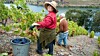den-unike-vin-fra-portugal-2
