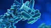 legionella