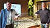 sandmael-1