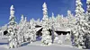 forskningsradet-viser-klimapavirkningen-2