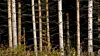 krav-i-byggeforskriftene-er-pa-ville-co2-veier-2