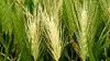 bioenergi-loft-pa-30-millioner-kroner-2