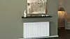 canes-radiator