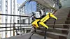 2021-03-23-proptech-bergen-lassie