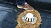 2017-06-12-aiwell
